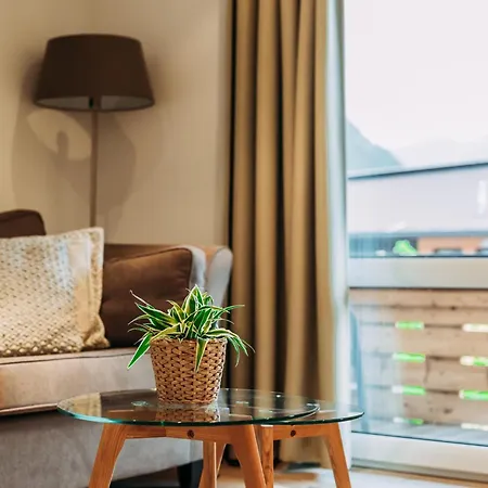 Haus Austria 3 Финкенберг