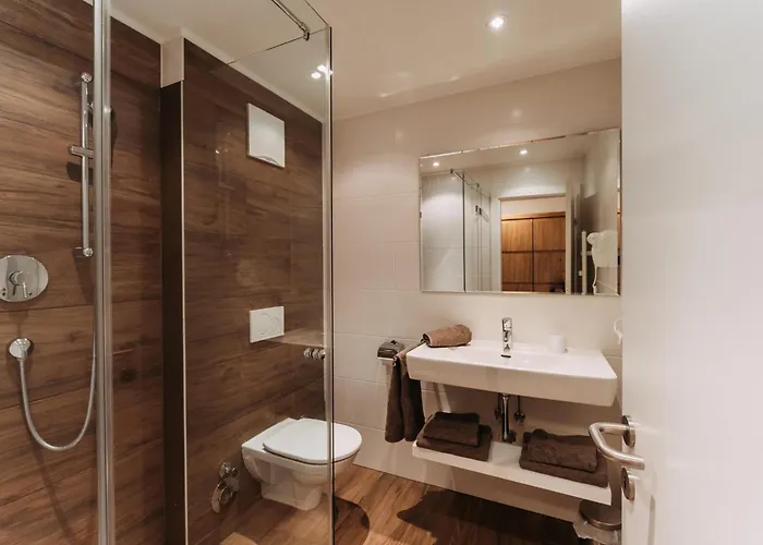 公寓 Haus Austria 3 弗林肯贝格