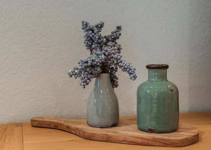 公寓 Haus Austria 3 *