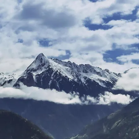 Haus Austria 3 Appartement