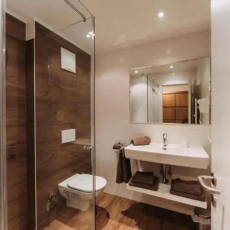 公寓 Haus Austria 3 弗林肯贝格